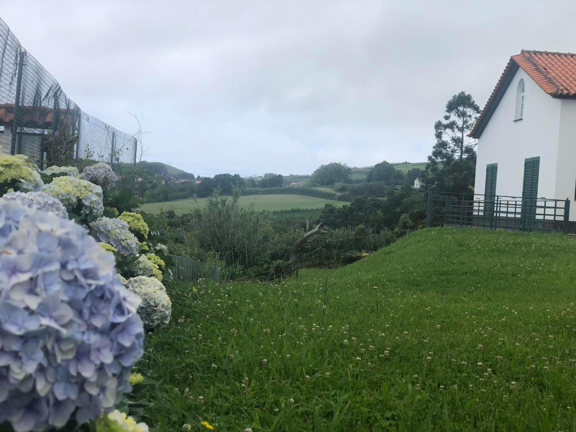 Vivenda Flor Villa Ponta Delgada Exteriör bild