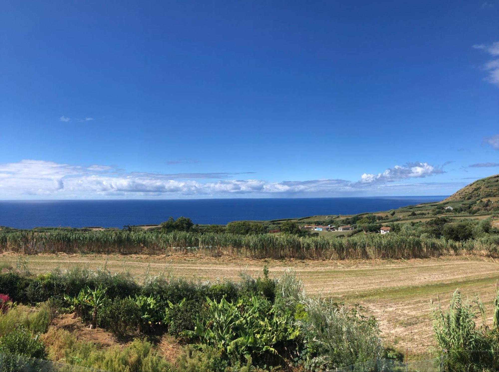 Vivenda Flor Villa Ponta Delgada Exteriör bild