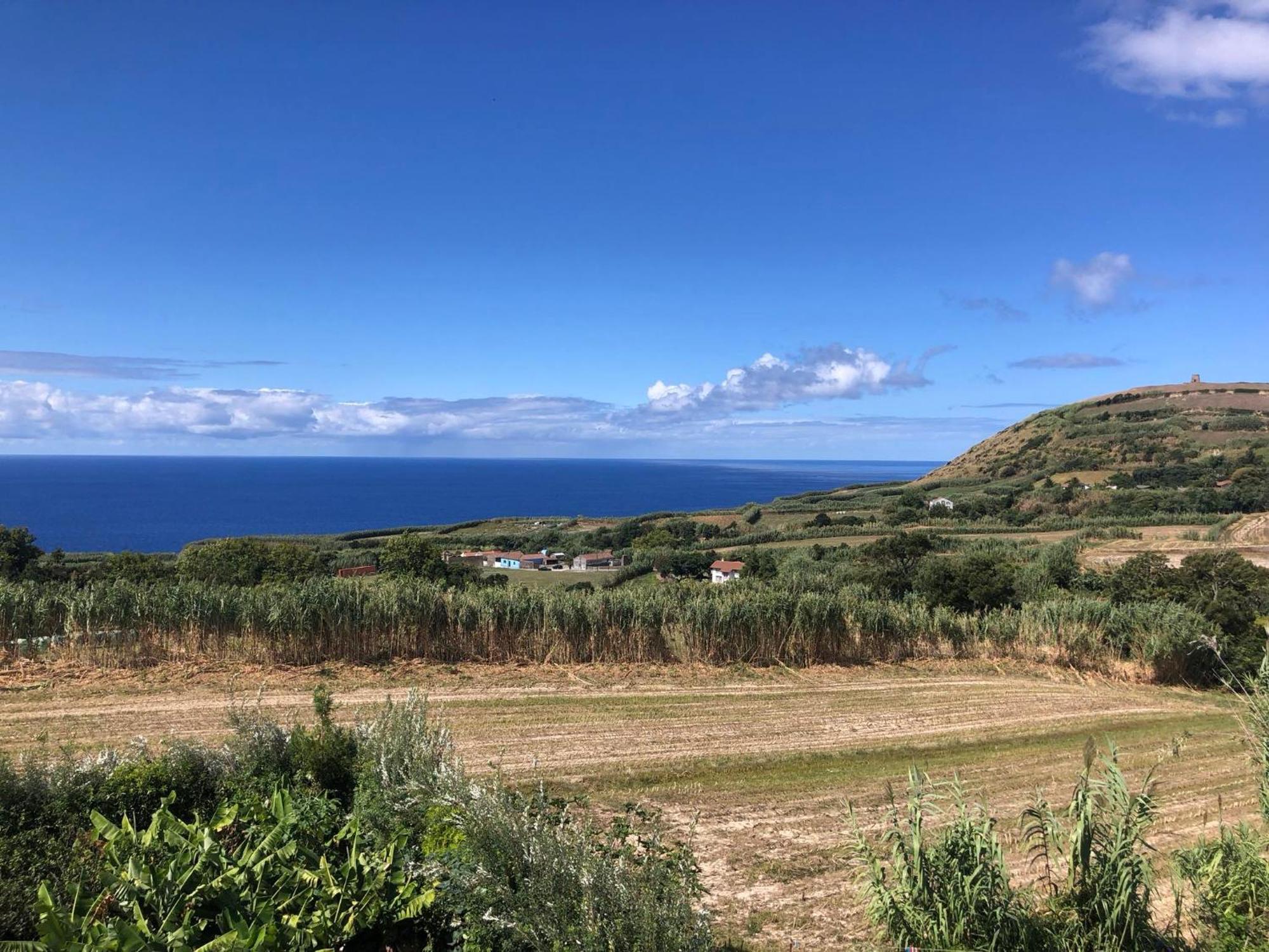 Vivenda Flor Villa Ponta Delgada Exteriör bild